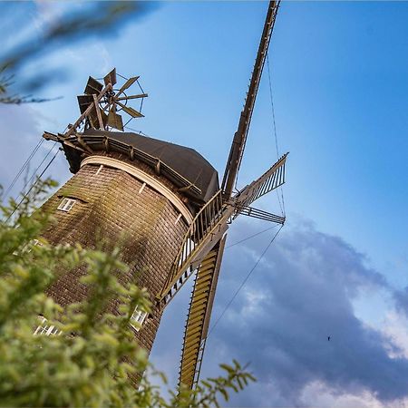 Villa Seeland 179 Villa Seeland App 1 ゼーバート・ヘリングスドルフ エクステリア 写真
